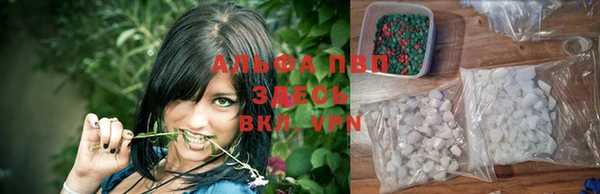 прущие грибы Армянск