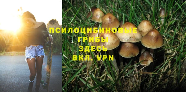 прущие грибы Армянск