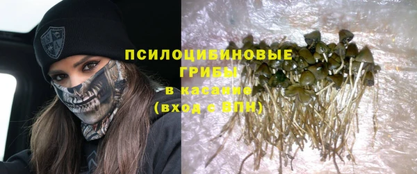 прущие грибы Армянск
