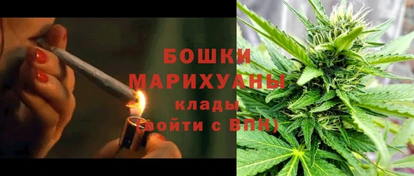 прущие грибы Армянск