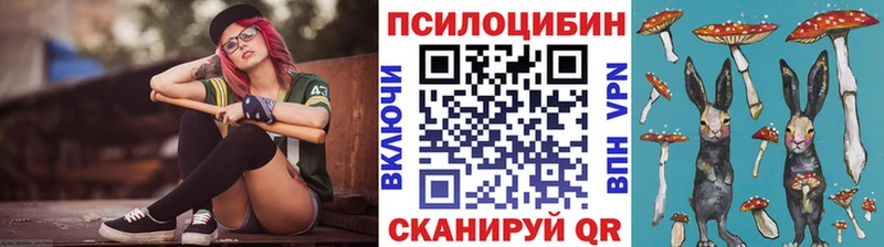 где купить наркотик  Менделеевск  Галлюциногенные грибы Magic Shrooms 