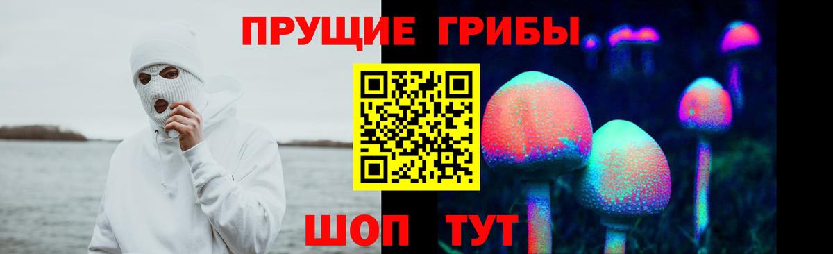 Менделеевск  Галлюциногенные грибы мицелий  Вход с VPN 